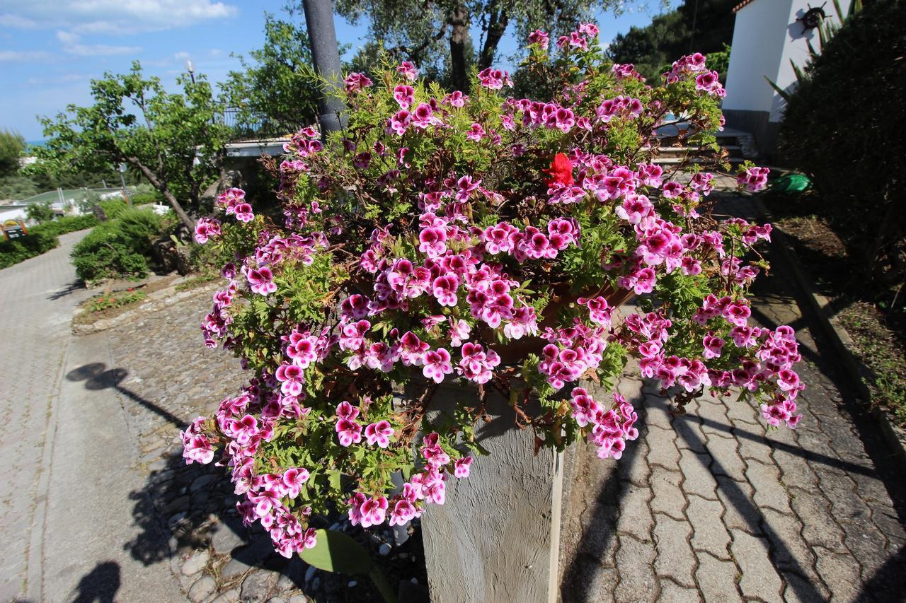 Villaggio Passo Dell'Arciprete เวียสเต ภายนอก รูปภาพ